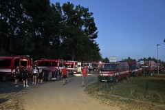 IMG_7645