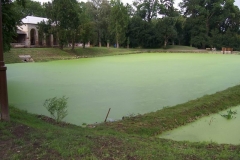 brigadazameckyrybnik2010v002