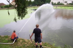 brigadazameckyrybnik2010v015