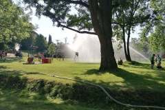 106229638_945726179213101_7608006434028057699_n