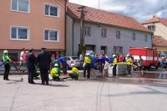 Dražovice 25.7.2009