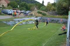 DSC_0284