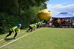 107800322_3281778848510104_3465075130765878297_n