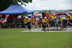 DSC_0717
