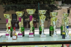 habrovany2013v020