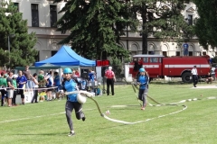 habrovany2013v110
