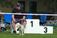 habrovanynext2013v073