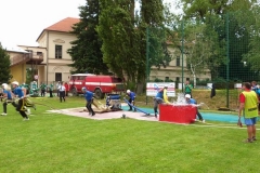 habrovany2012v057