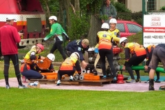 habrovany2012v094