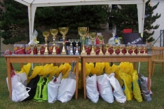 habrovany2011v006