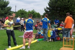 habes2010v028