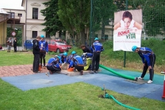 habes2010v064