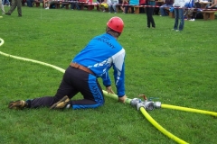 habes2010v071