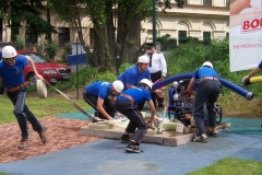 habes2010v084