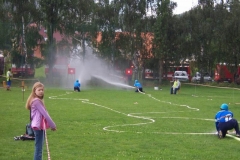 habes2010v109