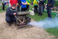 habes2010v111