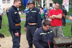habes2010v115