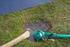 habes2010v119