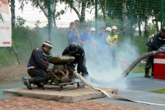 habes2010v132