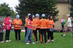 habes2010v155