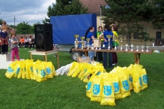 habes2010v161