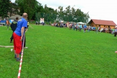 habes2010v166