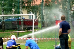 habes2010v175