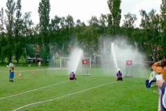 habes2010v208