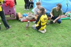 habes2010v210