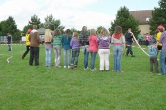 habes2010v211