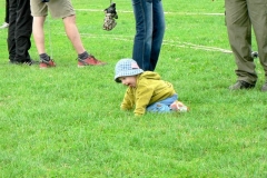 habes2010v212