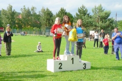 habes2010v238