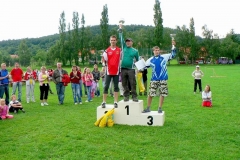 habes2010v243