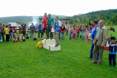 habes2010v245