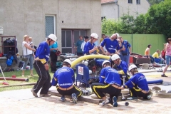 hlubocany2010v017