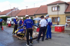 hodejice2010v003