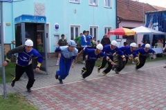 hodejice2010v005