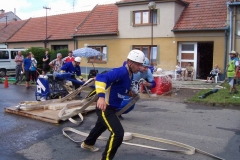 hodejice2010v006