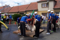 hodejice2010v009