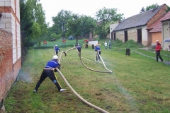 hostres2011v010