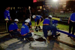 nocnihostres2010v006