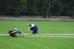 krajhodonin2011v034