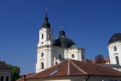 poutkrtiny2009v037