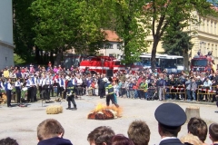 poutkrtiny2009v057