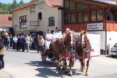 poutkrtiny2009v061