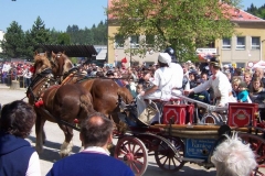 poutkrtiny2009v062