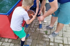 IMG_20200613_145938_3