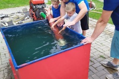 IMG_20200613_150042_3