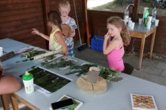 IMG_20200822_154844