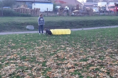 72595455_478115429457834_4185623231144656896_n